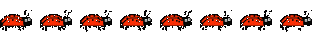 божья коровка