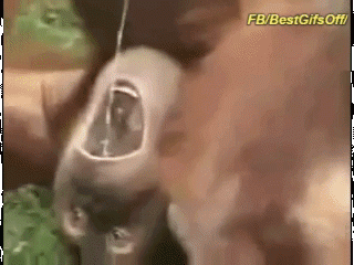 184E1CD0-8168-43EA-814C-21F29A28ADF0