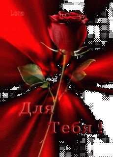 4_532581240398729389