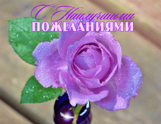 b2f968dabebe6bea5d1e83a6bd154d09