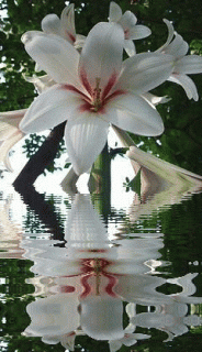 image_861108160555344009418