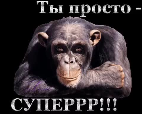 Суперрр