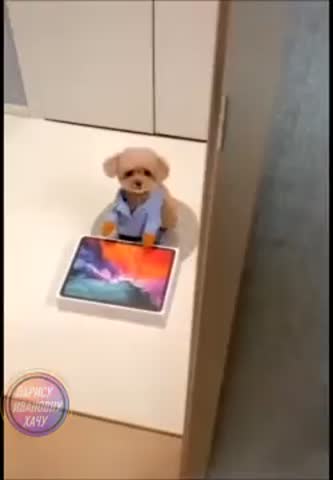 я_с_подарком