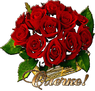 6cc4462d55505485f72421ddc5e61cdd