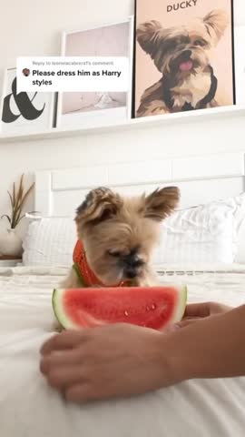 missguided-___CFRvfuFBwEl___-