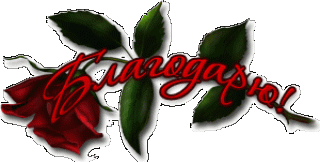 Foiz__Благодарю_роза