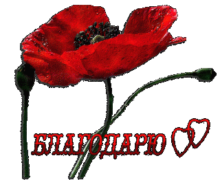 Foiz__Благодарю_мак