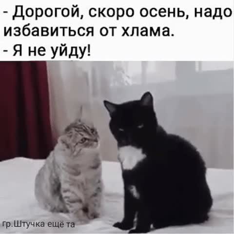 Не уйду