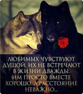 ЛЮБИМЫХ___