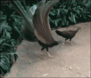 6E984E1C-6813-4423-A959-74EC8A8E5F8B