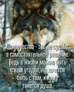 image-_im