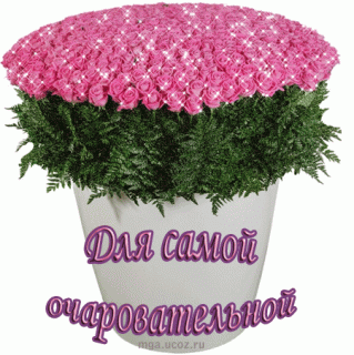 dlya-samoj-ocharovatelnoj