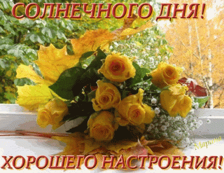 1523463924_819-gifka-solnechnogo-dnya-horoshego-nastroeniya