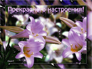 6879450255801f8689551dc177d0df23