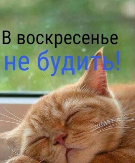 sychevaliubov9385-___CFWXK7WoQXq___-