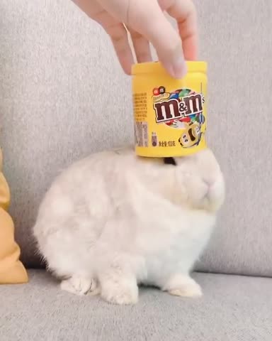 panpanbun-___CFfMEpSFu_c___-