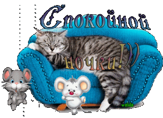 Ночки  кот и мышки