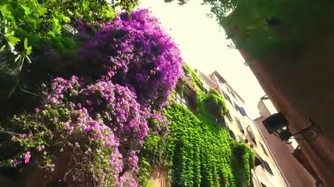 Юля_Паршута___Марк_Тишман_-_Невыносимая_Премьера_Клипа_2017