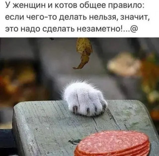 elkonatalia-___CEjTZWJIHPt___-