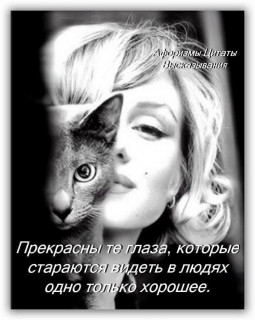 vse_muzhiki_boom-___CEY-r71ouIN___-