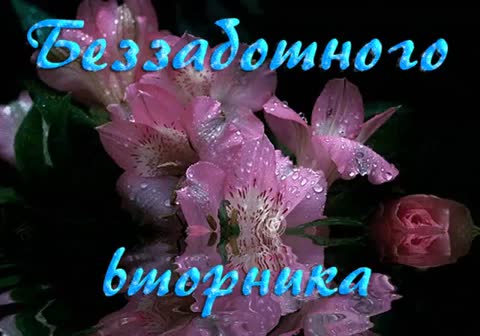 Вторник