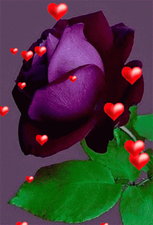 bellas-flores-para-vos_gif_2d0ed220f72370f8b68f5ee8be20606f