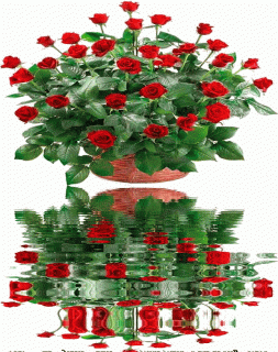 98cb4bd5217afb53b8b99be52e91de07