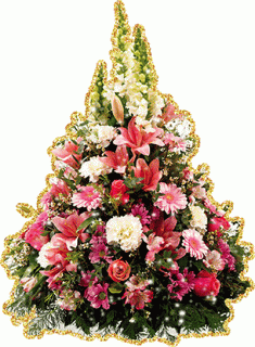 a82d286f006f1482a1ed2510f8dn