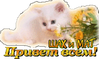 ПриветВсемШиМ