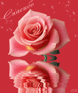 5209cba273ce0ef2170b4f939aee95ce