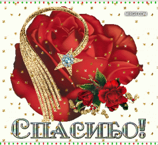 TalkativeOrangeFirefly-small