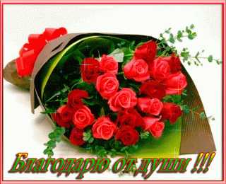 124105695_5570014_AaBYKETIK