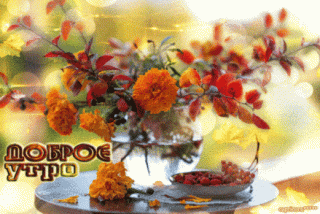 с добрым осенним утром