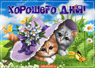 Доброго дня котята