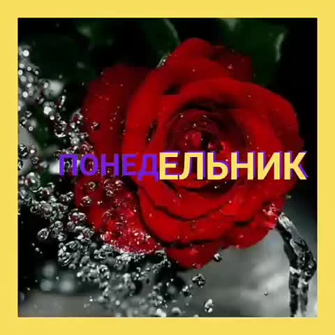 VID-20201002-WA00193