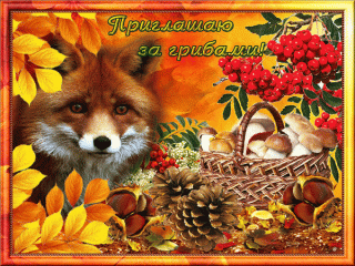 Грибы