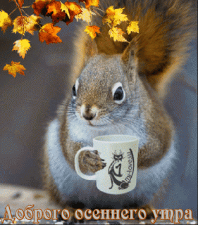 анимированная_открытка_доброго_утра