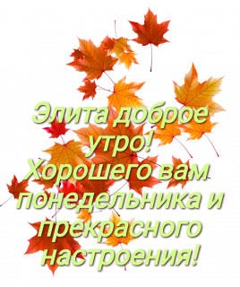 Элита понедельник