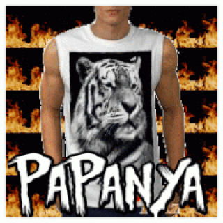 Foiz__oie_2qC0fUxn4p4Q_1