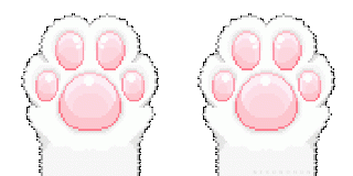 Лапки котика