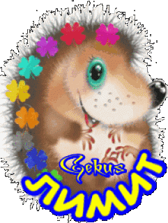 Foiz__лимитb