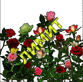 Лимит цветы на ч фоне