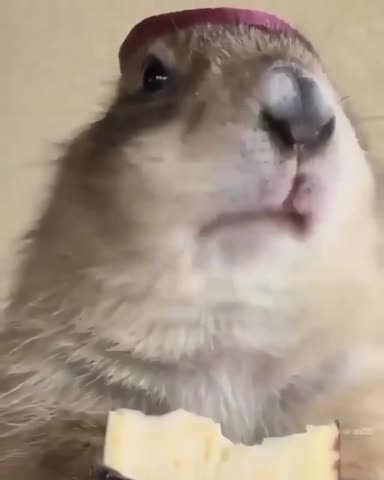 pozitive_smex-___CF4M7cFgxhb___-