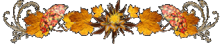 221293900038396ff9a370c5883da7b70471b2778b