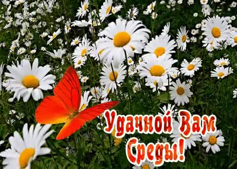 Среды