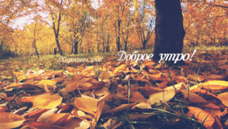 autumn_morning_good_day_2