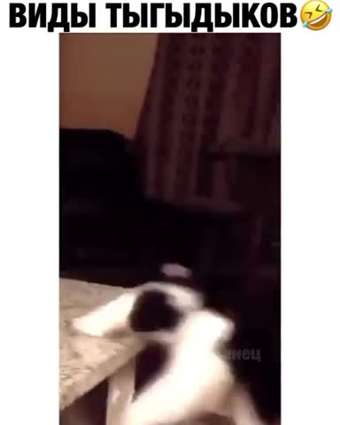 animalsbyworld-___CGAEEBPo-L5___-