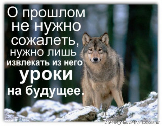 149735222-_im