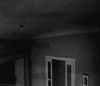 По стене лезет лол