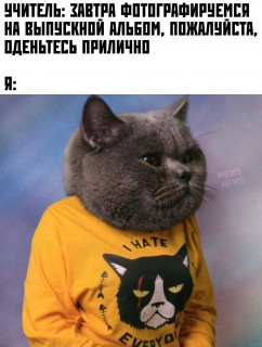 B-3LY59ZnyI